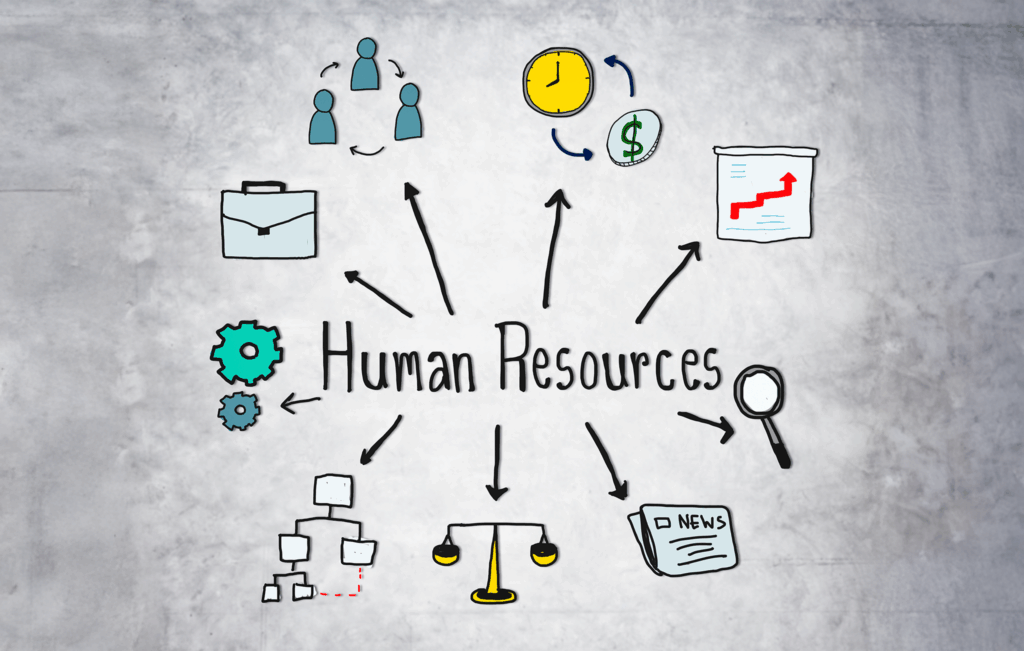 Top HR Skills Every Fresher Must Have to Get Hired in 2025